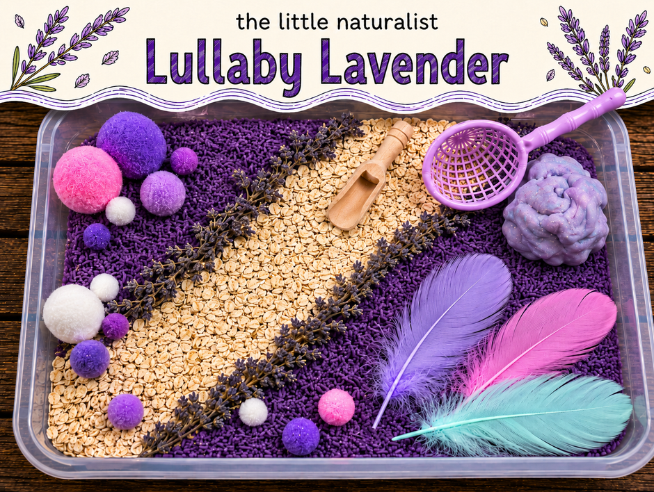 Limited Edition: Lullaby Lavender