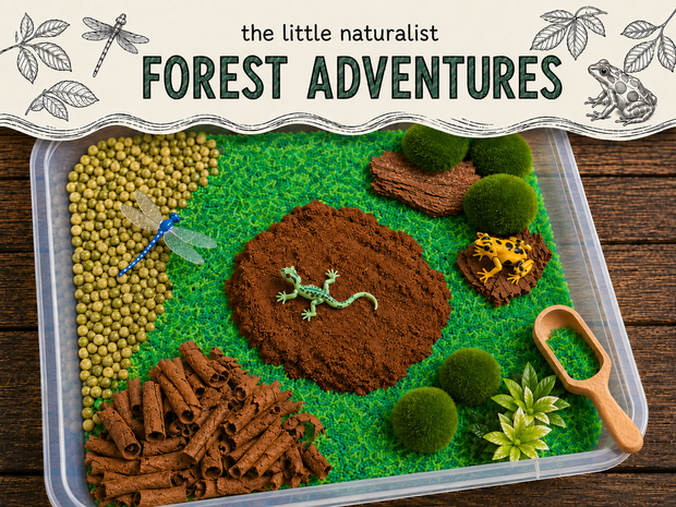 Forest Adventures