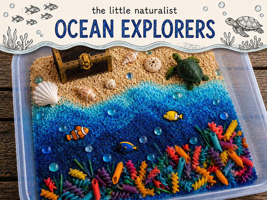 Ocean Explorers